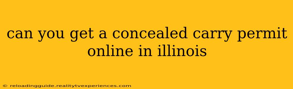 can you get a concealed carry permit online in illinois