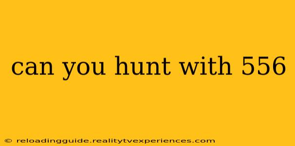 can you hunt with 556