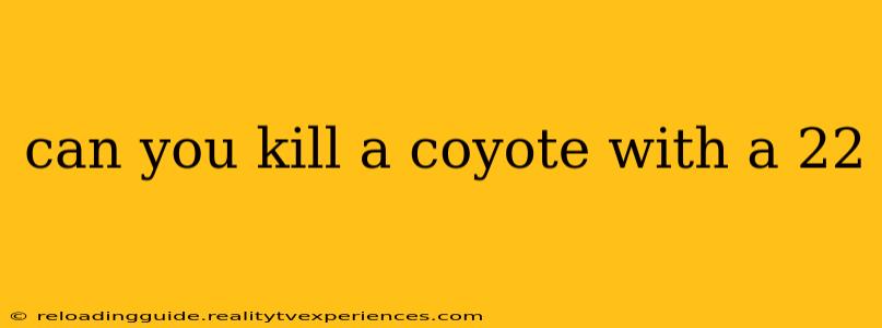 can you kill a coyote with a 22