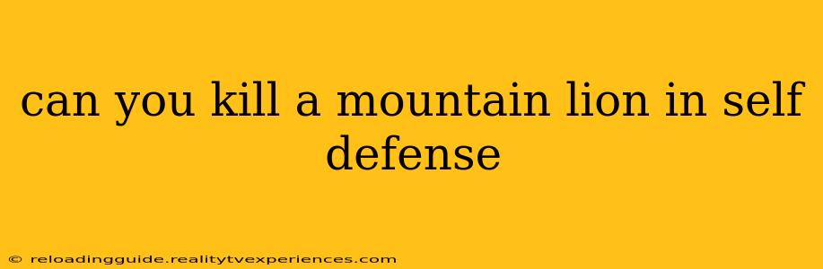 can you kill a mountain lion in self defense