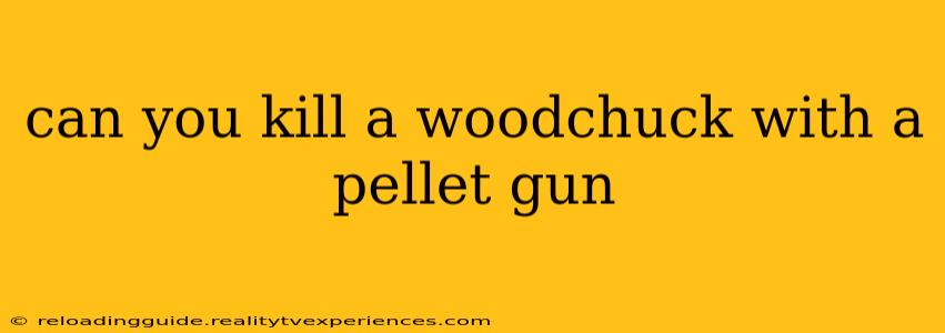 can you kill a woodchuck with a pellet gun