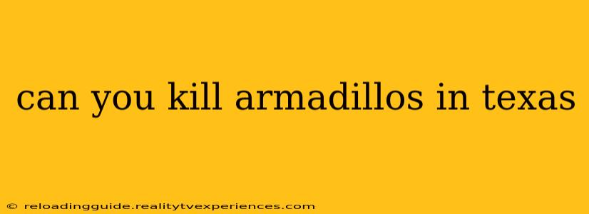 can you kill armadillos in texas