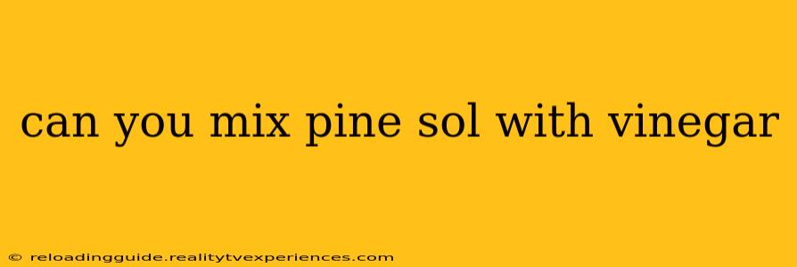 can you mix pine sol with vinegar