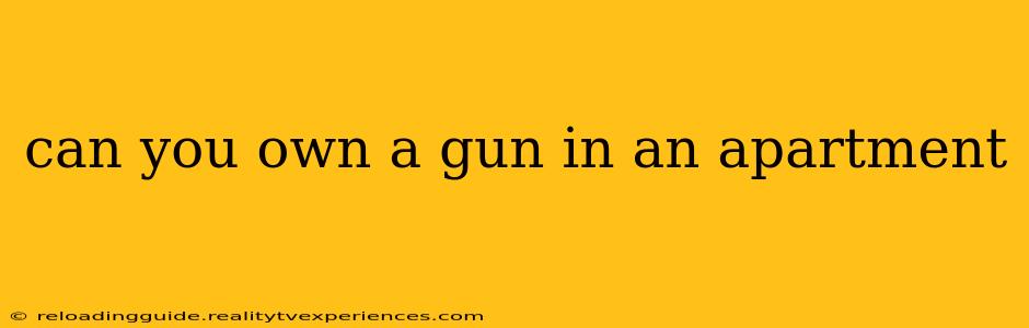 can you own a gun in an apartment