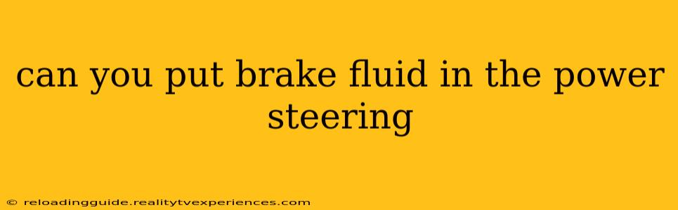 can you put brake fluid in the power steering