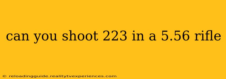 can you shoot 223 in a 5.56 rifle