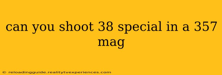 can you shoot 38 special in a 357 mag