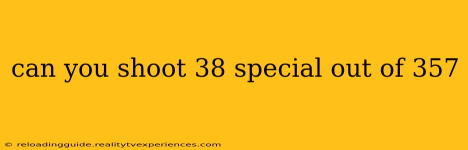 can you shoot 38 special out of 357