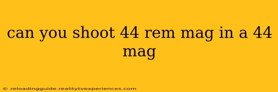 can you shoot 44 rem mag in a 44 mag