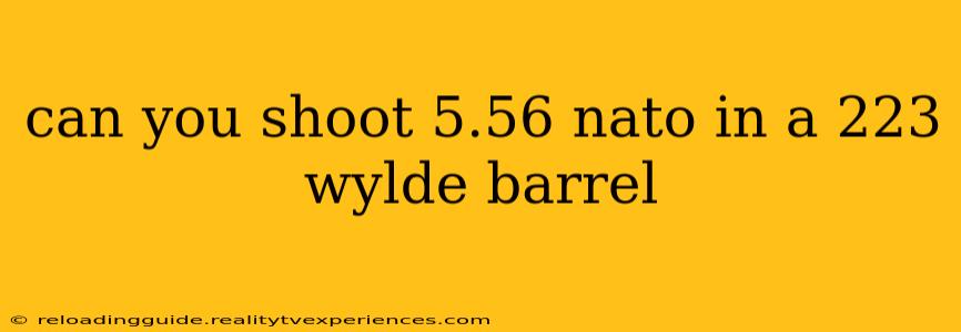 can you shoot 5.56 nato in a 223 wylde barrel