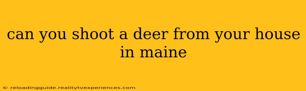 can you shoot a deer from your house in maine