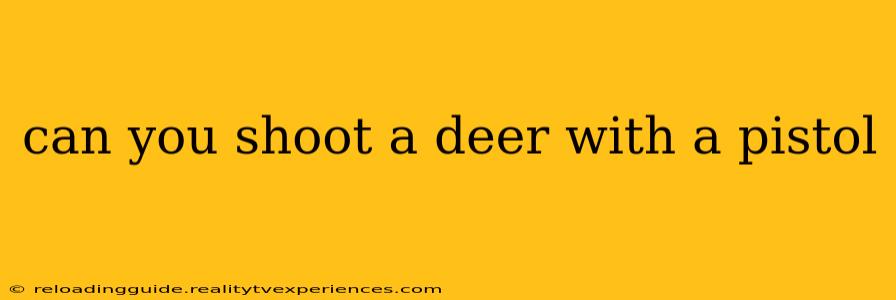 can you shoot a deer with a pistol