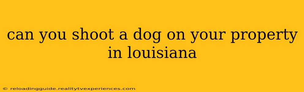 can you shoot a dog on your property in louisiana