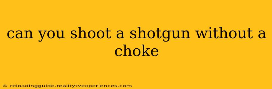 can you shoot a shotgun without a choke