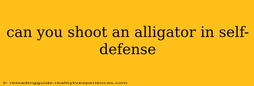 can you shoot an alligator in self-defense