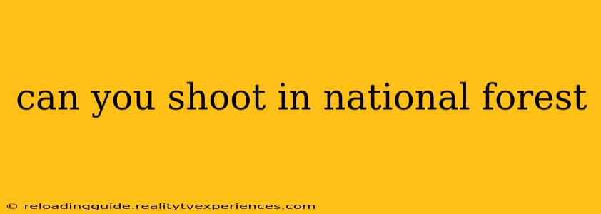 can you shoot in national forest