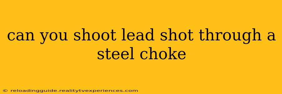 can you shoot lead shot through a steel choke