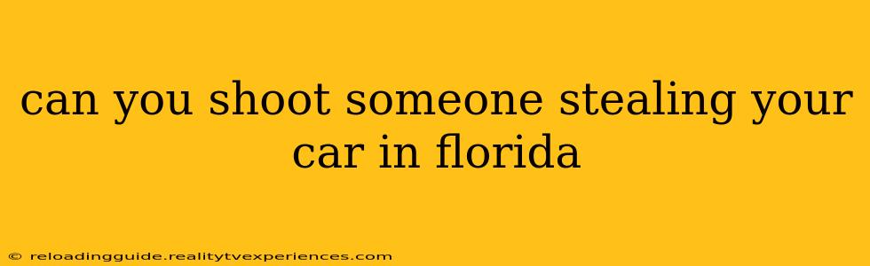 can you shoot someone stealing your car in florida