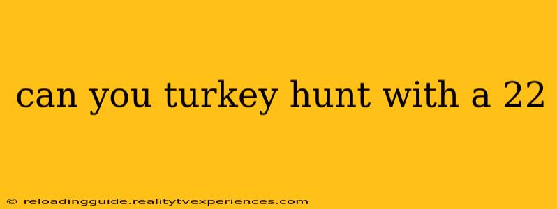 can you turkey hunt with a 22