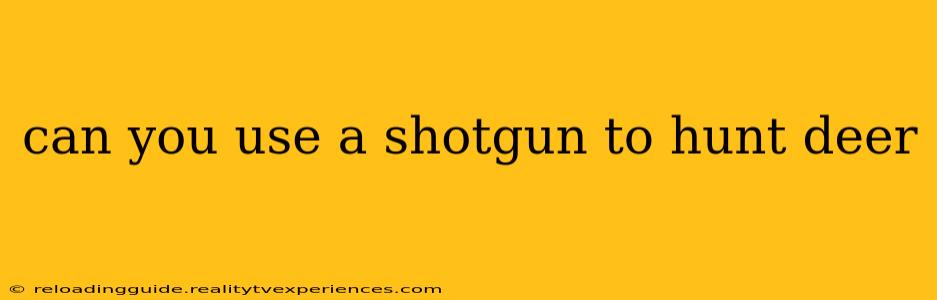 can you use a shotgun to hunt deer