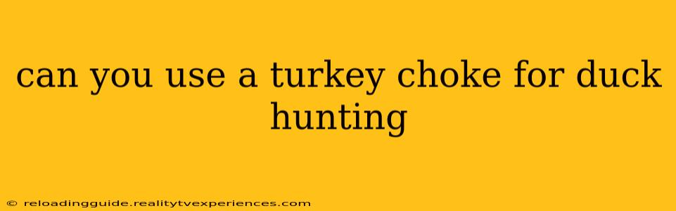 can you use a turkey choke for duck hunting