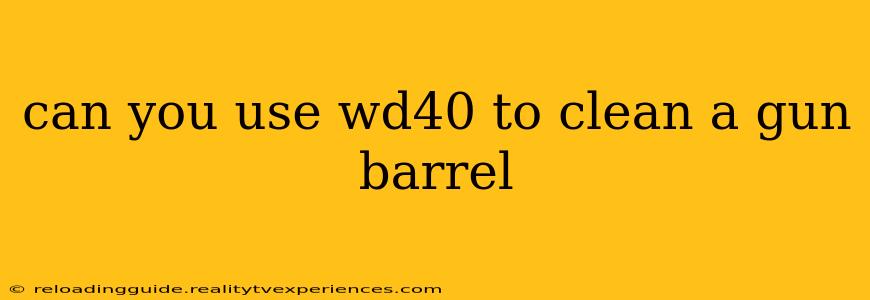 can you use wd40 to clean a gun barrel