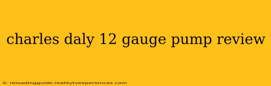 charles daly 12 gauge pump review