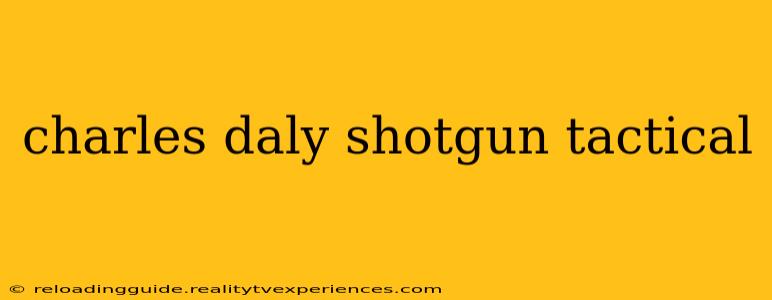 charles daly shotgun tactical