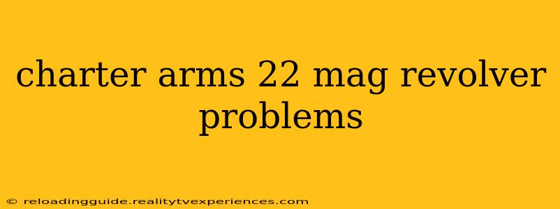 charter arms 22 mag revolver problems