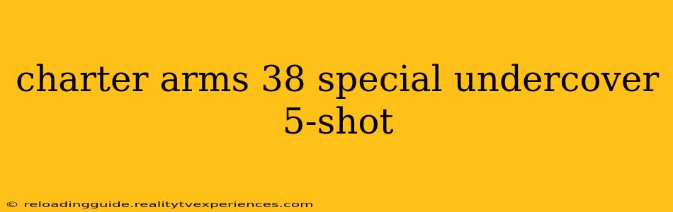 charter arms 38 special undercover 5-shot