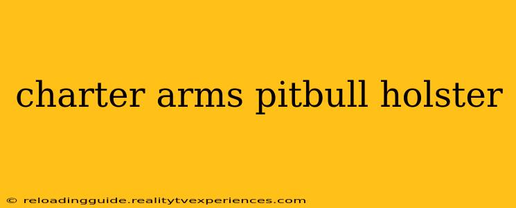 charter arms pitbull holster