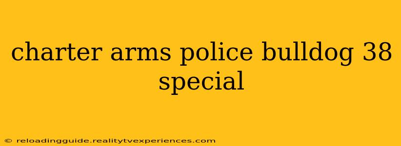 charter arms police bulldog 38 special