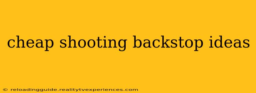 cheap shooting backstop ideas