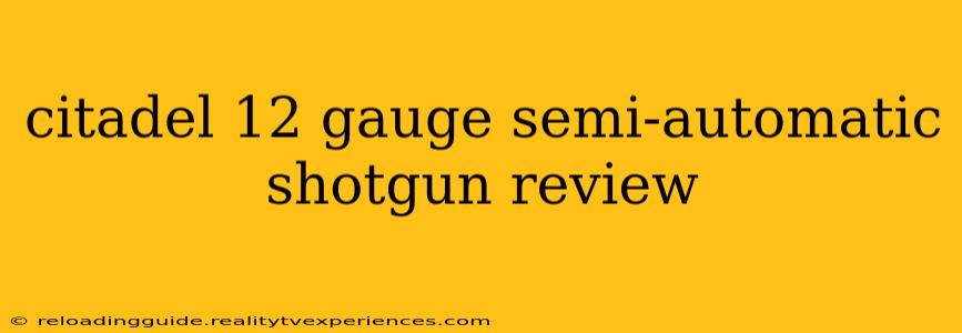 citadel 12 gauge semi-automatic shotgun review