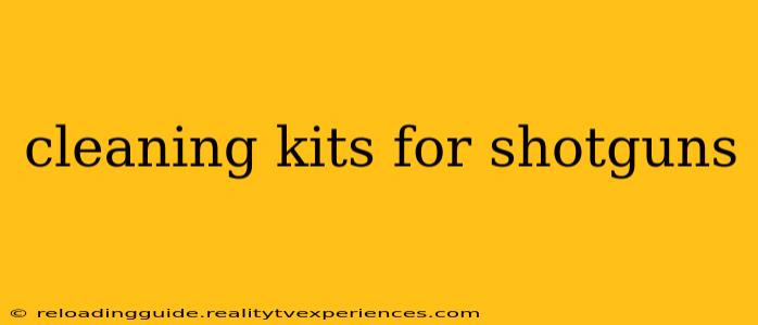 cleaning kits for shotguns