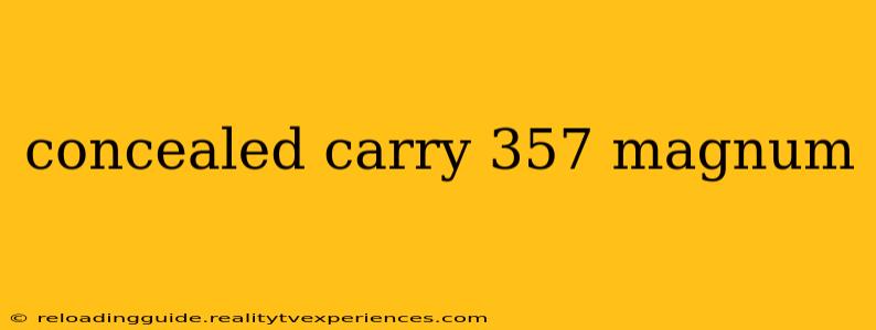 concealed carry 357 magnum