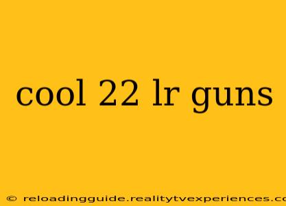 cool 22 lr guns