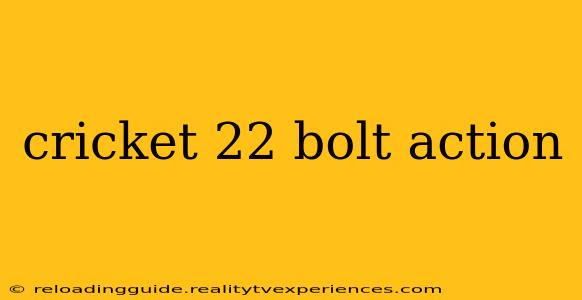 cricket 22 bolt action