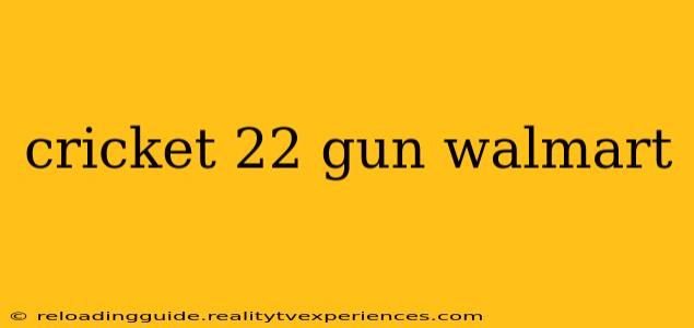 cricket 22 gun walmart