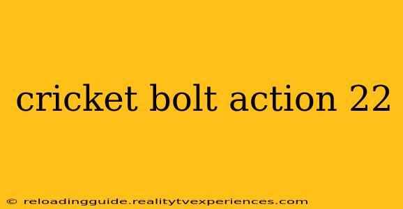 cricket bolt action 22