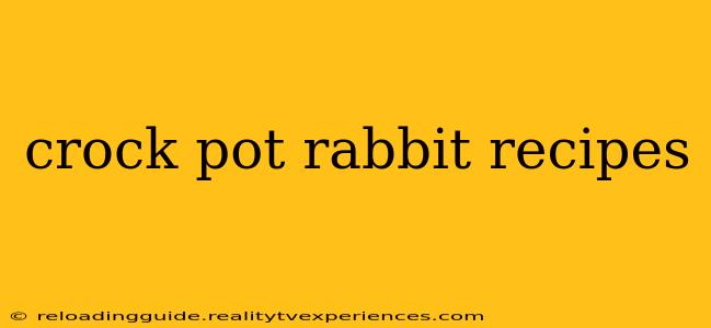 crock pot rabbit recipes