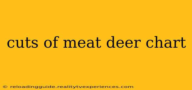 cuts of meat deer chart