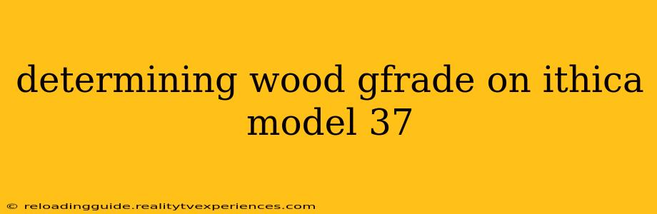 determining wood gfrade on ithica model 37