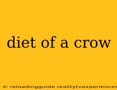 diet of a crow