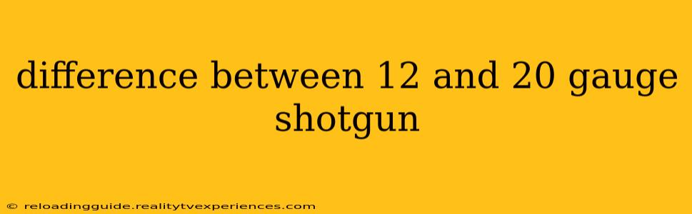 difference between 12 and 20 gauge shotgun