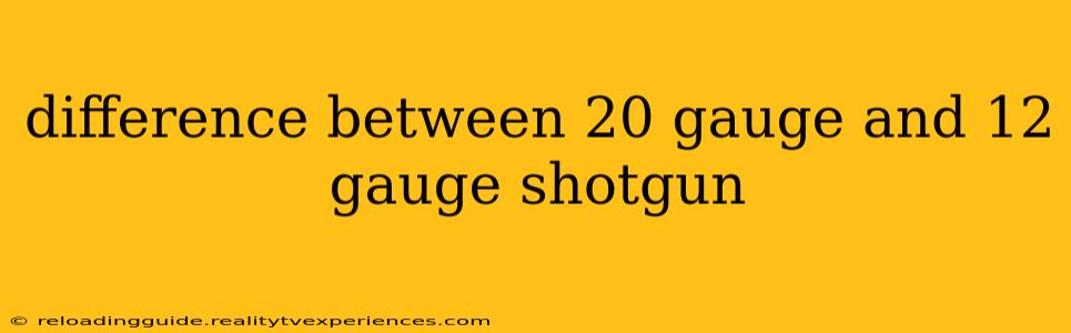 difference between 20 gauge and 12 gauge shotgun