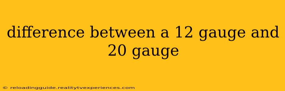 difference between a 12 gauge and 20 gauge