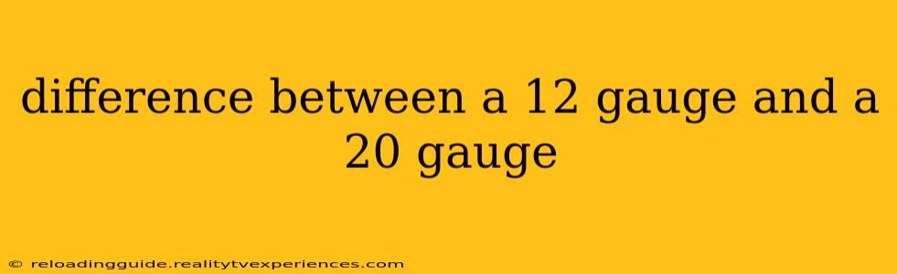 difference between a 12 gauge and a 20 gauge