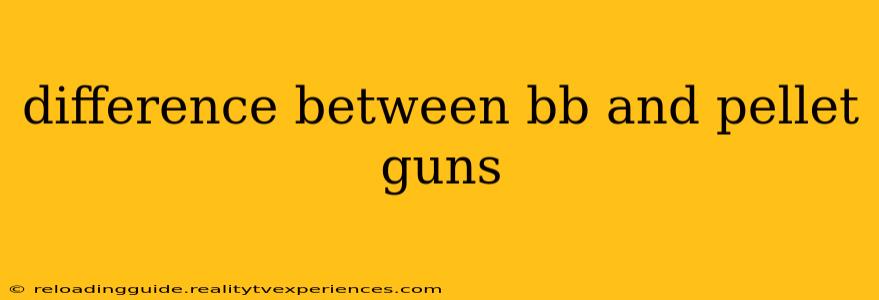 difference between bb and pellet guns