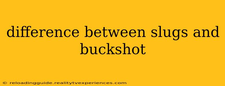 difference between slugs and buckshot